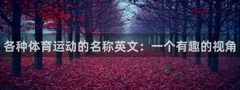 77体育官网：各种体育运动的名称英文：一个有趣的视角