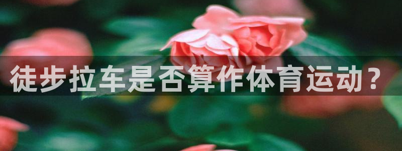 77体育：徒步拉车是否算作体育运动？