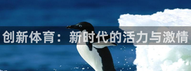 77体育官网：创新体育：新时代的活力与激情
