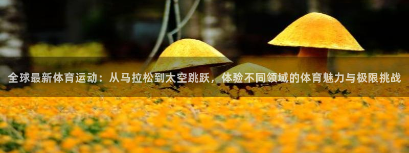 77体育app下载官网：全球最新体育运动：从马拉松到太空跳跃，体验不同领域的体育魅力与极限挑战