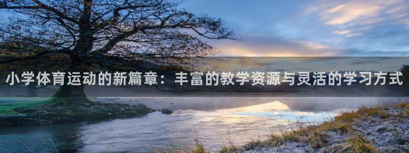 77体育官网：小学体育运动的新篇章：丰富的教学资源与灵活的学习方式