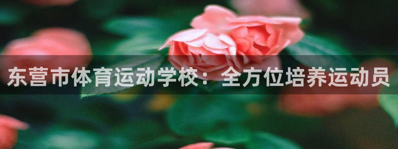 皇冠277体育：东营市体育运动学校：全方位培养运动员