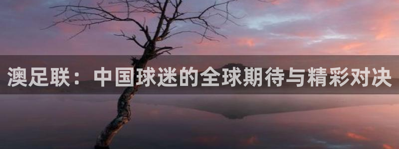 77体育官网：澳足联：中国球迷的全球期待与精彩对决