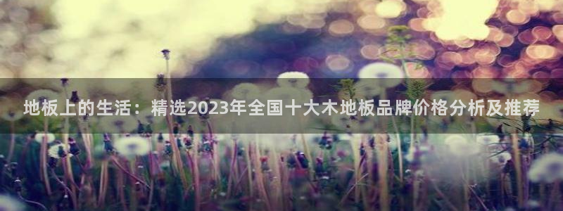 77体育：地板上的生活：精选2023年全国十大木地板品牌价格分析及推荐