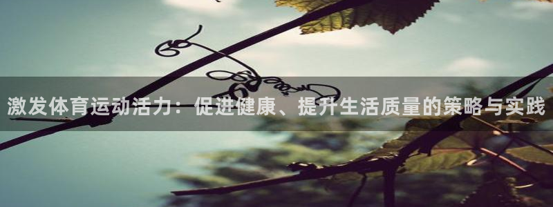 皇冠277体育：激发体育运动活力：促进健康、提升生活质量的策略与实践